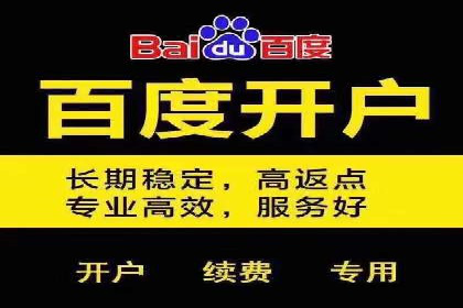 SEM托管代运营案例：打造高效营销体系